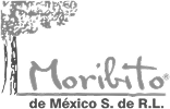 Moribito Logo