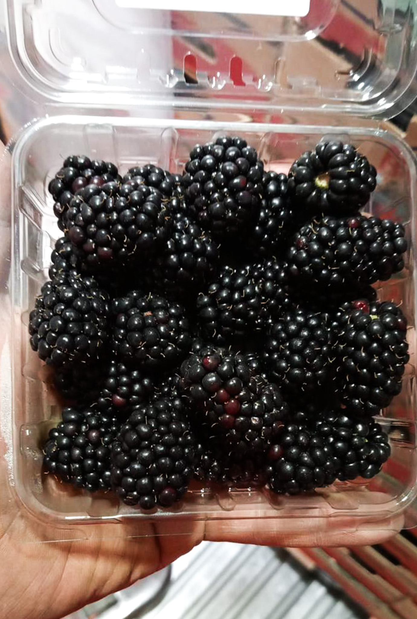 Manejo especializado de frutas